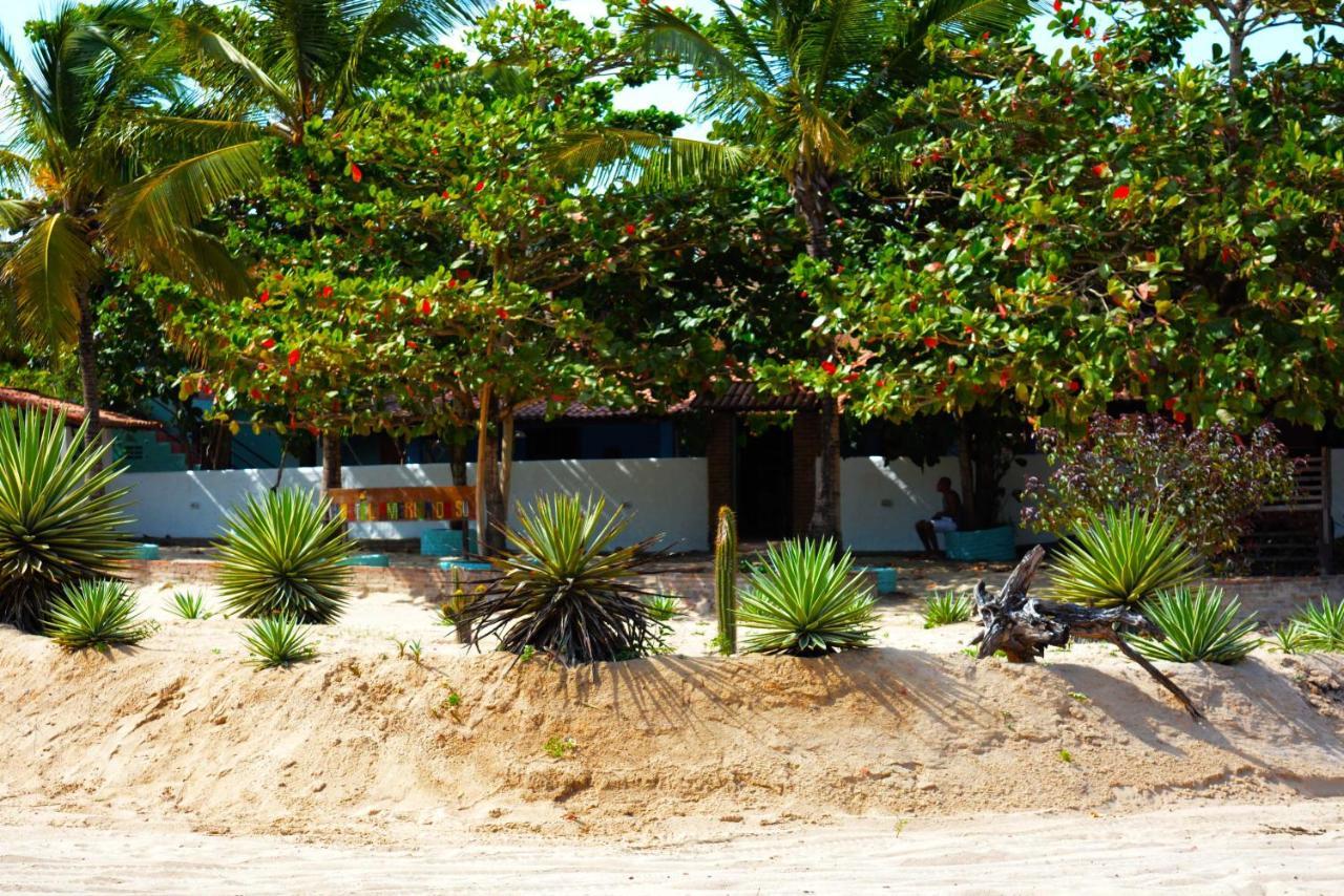 Hostel America Do Sul Jijoca de Jericoacoara Dış mekan fotoğraf